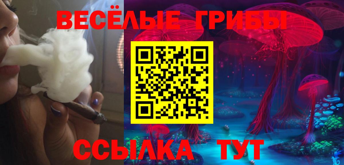 Галлюциногенные грибы Cubensis Чебоксары